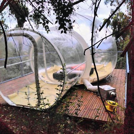 Dans Ma Bulle By C Cibeaulaos Hotel Cilaos Kültér fotó