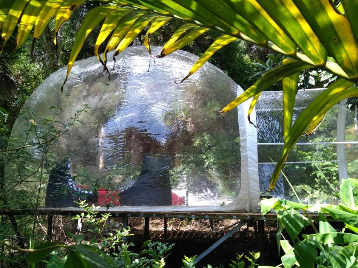 Dans Ma Bulle By C Cibeaulaos Hotel Cilaos Kültér fotó